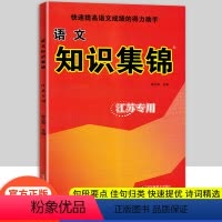 [正版]2024新版超能学典小学语文 知识集锦 江苏版 江苏凤凰美术出版社小学语文知识大全中学生语文基础知识一本小学