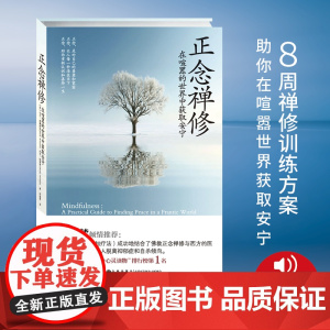 正念禅修 英 马克 威廉姆斯 美 丹尼 彭曼 在喧嚣的世界中获取安宁 正念减压疗法书籍哲学入门初学者 九州出版社书籍