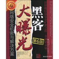 正版新书]黑客大曝光:网络安全机密与解决方案(第6版)(美国)麦克