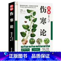 [正版]伤寒论 图解 张仲景 原著全集 中医四大名著之一 伤寒杂病论白话解 中医养生书籍大全医学全书 中医知识自学入门零