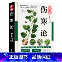 [正版]伤寒论 图解 张仲景 原著全集 中医四大名著之一 伤寒杂病论白话解 中医养生书籍大全医学全书 中医知识自学入门零