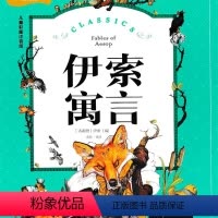 [正版]区域 拼音故事书小学生版 伊索寓言 儿童文学小说名著读