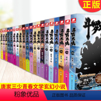 斗罗大陆1 新版全套1-20[20册] [正版] 完美世界全套1-31 共31册 辰东著 天使文化玄幻小说斗罗大陆小