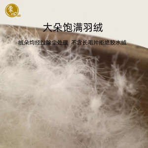 裳心-羽绒被SXZT-01 白色 1.5*2.0m