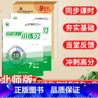 数学·北师版 七年级上 [正版]小练习随讲随练七八九年级初一二三数学上册北师版初中同步课时尖子生压轴题难题必刷题练习册五