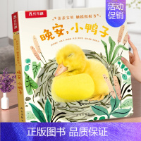 晚安,小鸭子 [正版] 亲亲宝贝触摸纸板书 幼儿早教书籍启蒙认知触摸书1岁2岁宝宝睡前晚安读物亲子书不易撕烂早教认知书