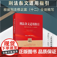 2024新书 刑法条文适用指引 根据刑法修正案(十二)全新编写 时延安 刘传稿 张召国 编 人民法院出版社 978751