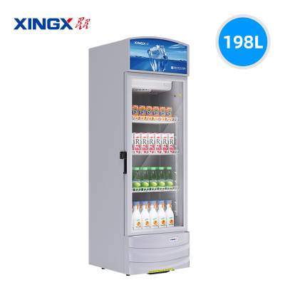星星(XINGX)LSC-220WE展示柜商用198升 风冷无霜立式冷藏保鲜陈列柜 商超便利店玻璃门啤酒饮料柜