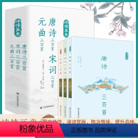 [正版]三册唐诗宋词元曲三百首遇见浪漫美好古诗词传中国传统文化国学启蒙诗词鉴赏辞典课外阅读书籍古诗词给孩子读唐诗宋词元