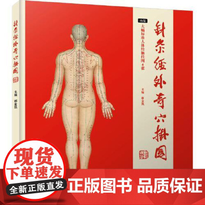 针灸经外奇穴挂图 郝金凯 经外奇穴588个实用高效针灸经外奇穴针灸挂图穴位挂图中医药专业人士针灸爱好者参考中国科学技术出