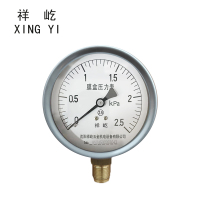 祥屹 膜盒压力表 YE100 块