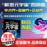 元宇宙 实体经济新模式 赵永新等 著 计算机与互联网