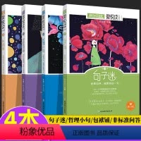 [4册]哲理小句+非标准问答+句子迷+包袱铺 [正版]疯狂阅读句子迷珍藏全集版微悦读大视界哲理小句非标准问答包袱铺青春杂