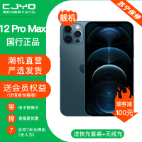 [99新]Apple iPhone 12ProMax 海蓝色 128GB 二手苹果12PM 全网通5G 国行正品 手机
