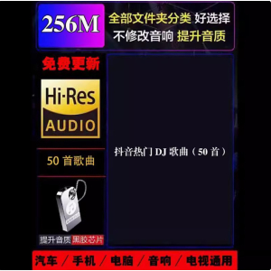 [补贴10%]2024近期更新歌车载音乐u盘热门网络流行中文dj无损mp3优盘高清