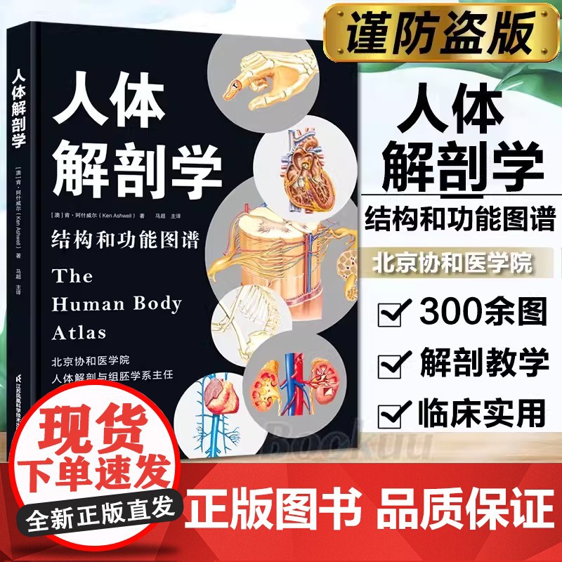 书书]人体解剖学 彩色结构和功能图谱解刨 医学类系统系解构造专业图鉴江苏凤凰科技出版社骨骼肌肉体表书籍