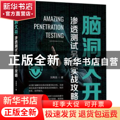 正版 脑洞大开:渗透测试另类实战攻略 刘隽良 机械工业出版社 978