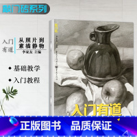 [正版]敲门砖入门有道从照片到素描静物美术初学教程基础知识全效教学单体组合静物画法结构临摹初学自学零基础技法