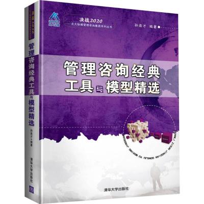正版新书]管理咨询经典工具与模型精选(决战2020——北大纵横管