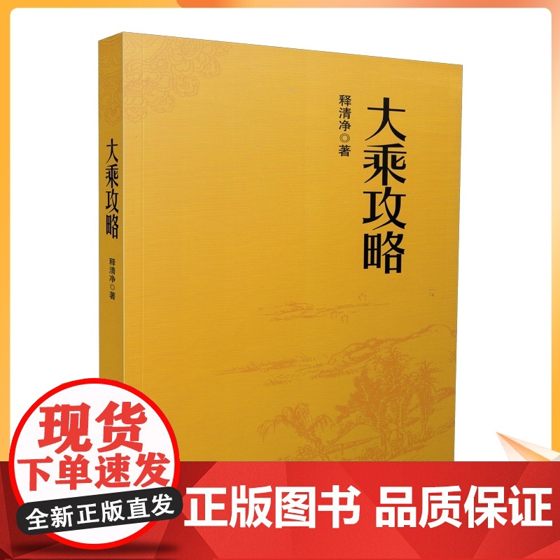 正版 大乘攻略 白话简体横排 释净空/著 宗教文化出版社汉传佛教图书佛教经典书籍