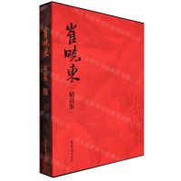 [N]崔晓东精品集(山河岁月)(精)-9787500322214