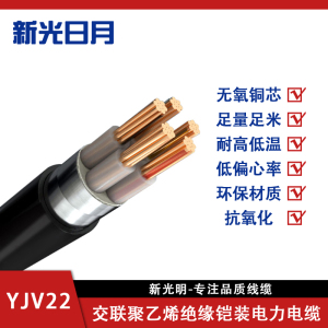 新光日月阻燃交联聚乙烯绝缘铠装电力电缆ZC-YJV22 3×185+1×120mm²/米