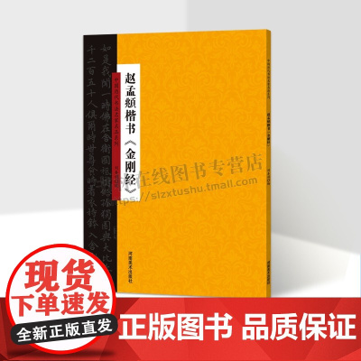中国历代书法名家名品系列 赵孟頫楷书 金刚经 适合书法爱好者鉴赏赏析临摹范本 书法普及读物 初学者入门教程 刘春娟 著