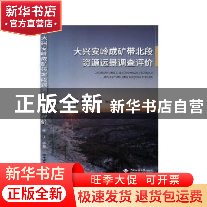 正版 大兴安岭成矿带北段资源远景调查评价 陈江[等]著 中国地质