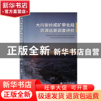 正版 大兴安岭成矿带北段资源远景调查评价 陈江[等]著 中国地质