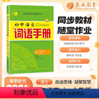 九年级/初中三年级 语文 [正版]2024春初中语文词语手册九年级下册人教版语文课文字词句同步讲解辅导书专项训练工具书春