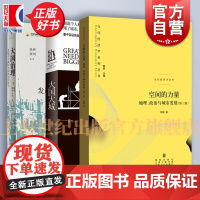 空间的力量地理政治与城市发展/大国大城/大国治理发展与平衡的空间政治经济学 陆铭著史格致出版社世纪文景 中国经济
