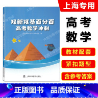 高考数学冲刺 上海 [正版]2024双新双基百分百 高考数学冲刺 高三数学百分百 含详解答案解析 上海双新双基高考数学复