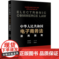 D 中华人民共和国电子商务法适用指南 洪友红 法律出版社 电子商务法律适用 电子商务合同电子证据刑事犯罪风险防范争