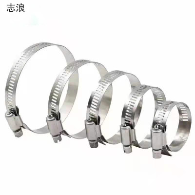 志浪 不锈钢喉箍32-44 个