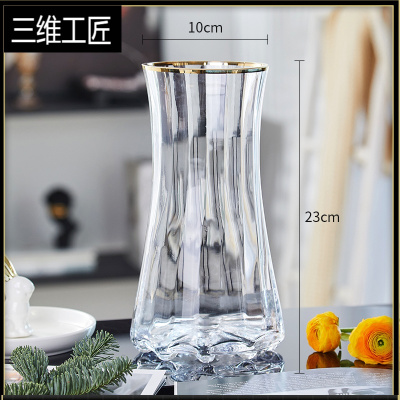 轻奢描金原色玻璃花瓶透明水养鲜花百合网红客厅插花摆件创意简约三维工匠HD小号（透明-金口）中等