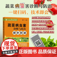 正版 蔬菜病虫害诊断与防治原色图谱 夏生广 农作物病虫害快速诊治系列 中国农业出版社
