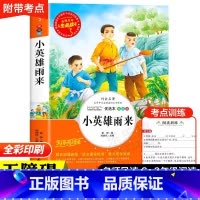 小英雄雨来 [正版]西游记原著小学生版五年级下册必读课外书青少年版完整版5年级下册快乐读书吧阅读书目吴承恩著儿童版书籍白