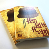 我的团长我的团