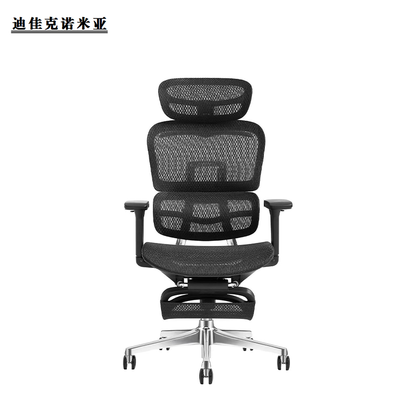 迪佳克诺米亚 办公椅 可躺椅 Q-520*490*1220mm 把