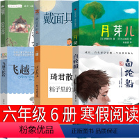 六年级全套6册 [正版]我在古代逛花园 六年级课外书倪晓一叶敏著纪人萍绘 海豚出版社 月芽儿 飞越天使街 白轮船 琦君