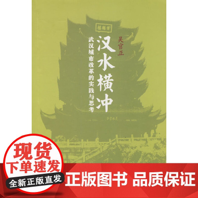 汉水横冲:武汉城市改革的实践与思考