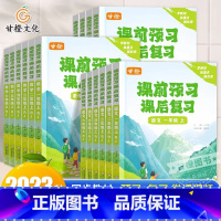 3册[语文+数学+英语]人教版 四年级上 [正版]甘橙课前预习课后复习2023秋季新版一二一四五六年级上册小学语文数学英