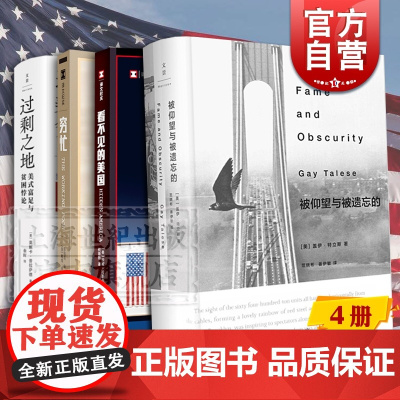 被仰望与被遗忘的 穷忙 看不见的美国 译文纪实 过剩之地 美式富足与贫困悖论 纪实文学 美国经济 金融