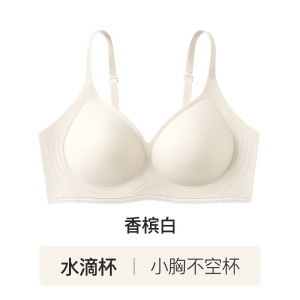 山茶花香氛蕾丝小花边无痕内衣女小胸聚拢显大收副乳舒适凉感文胸