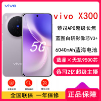 [全新]vivo X300 惬意紫 16GB+1TB 蓝晶×天玑9500芯 大电池 90W快充 支持无线充电 蔡司超级潜望长焦 拍照 AI手机