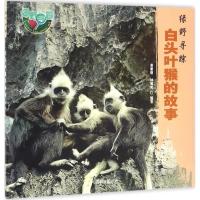 正版新书]白头叶猴的故事黄乘明9787503885839