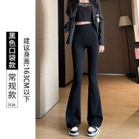 微喇鲨鱼裤女夏季薄款运动健身瑜伽打底裤春秋九分休闲阔腿喇叭裤