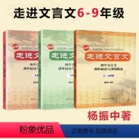 [全3册]走进文言文 六-九年级 初中通用 [正版]新版 走进文言文六七年级文言文阅读训练初中八年级九年级语文阅读理解杨