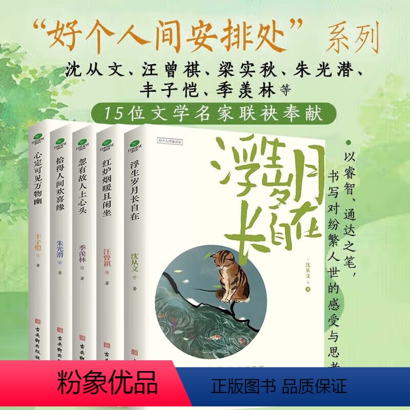 好个人间安排处[5册] [正版]共5本心定可见万物幽+拾得人间欢喜缘+浮生岁月长自在+忽有故人上心头+红炉烟暖且闲坐好个