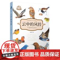 《云中的风铃》野鸟传奇观鸟美文 禽类飞禽走兽500张鸟类图片